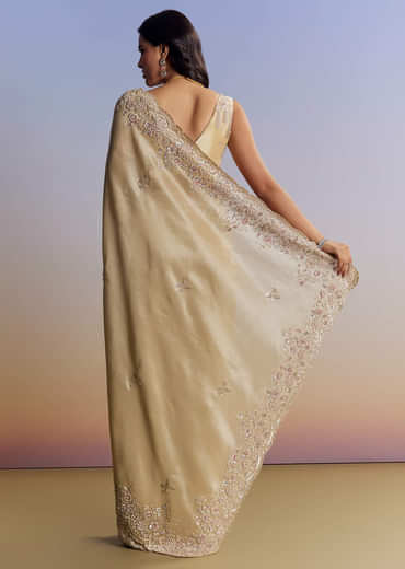Gold Tissue Saree With Cut Dana Embroidery