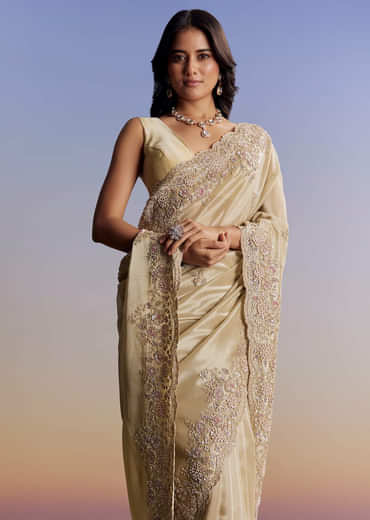 Gold Tissue Saree With Cut Dana Embroidery