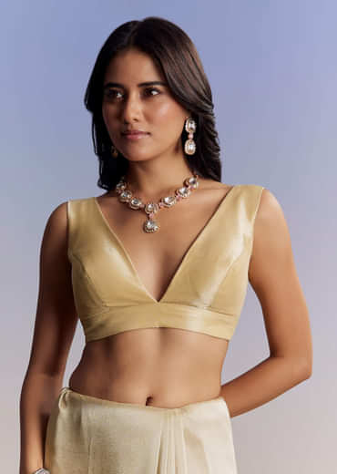 Gold Tissue Saree With Cut Dana Embroidery