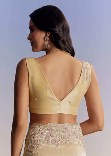 Gold Tissue Saree With Cut Dana Embroidery