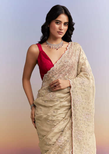 Gold Tissue Saree With Heavy Hand Embroidery