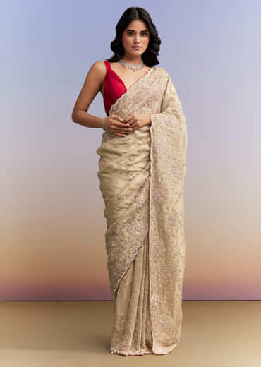 Gold Tissue Saree With Heavy Hand Embroidery