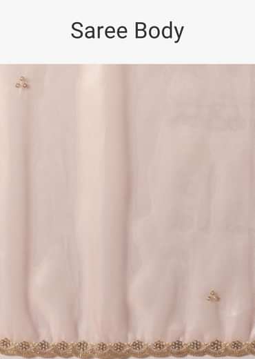 Gold And Brown Toned Saree In Tissue With Cut Dana Embroidered Borders