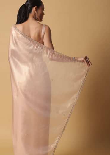 Gold And Brown Toned Saree In Tissue With Cut Dana Embroidered Borders