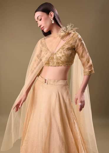 Gold Hand Embroidered Tissue Lehenga And Blouse With Dupatta
