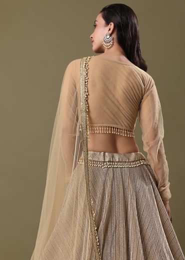 Gold Pre Pleated Lehenga With Dupatta
