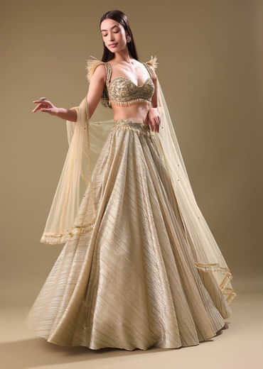Gold Pre Pleated Lehenga With Embellished Blouse And Net Dupatta