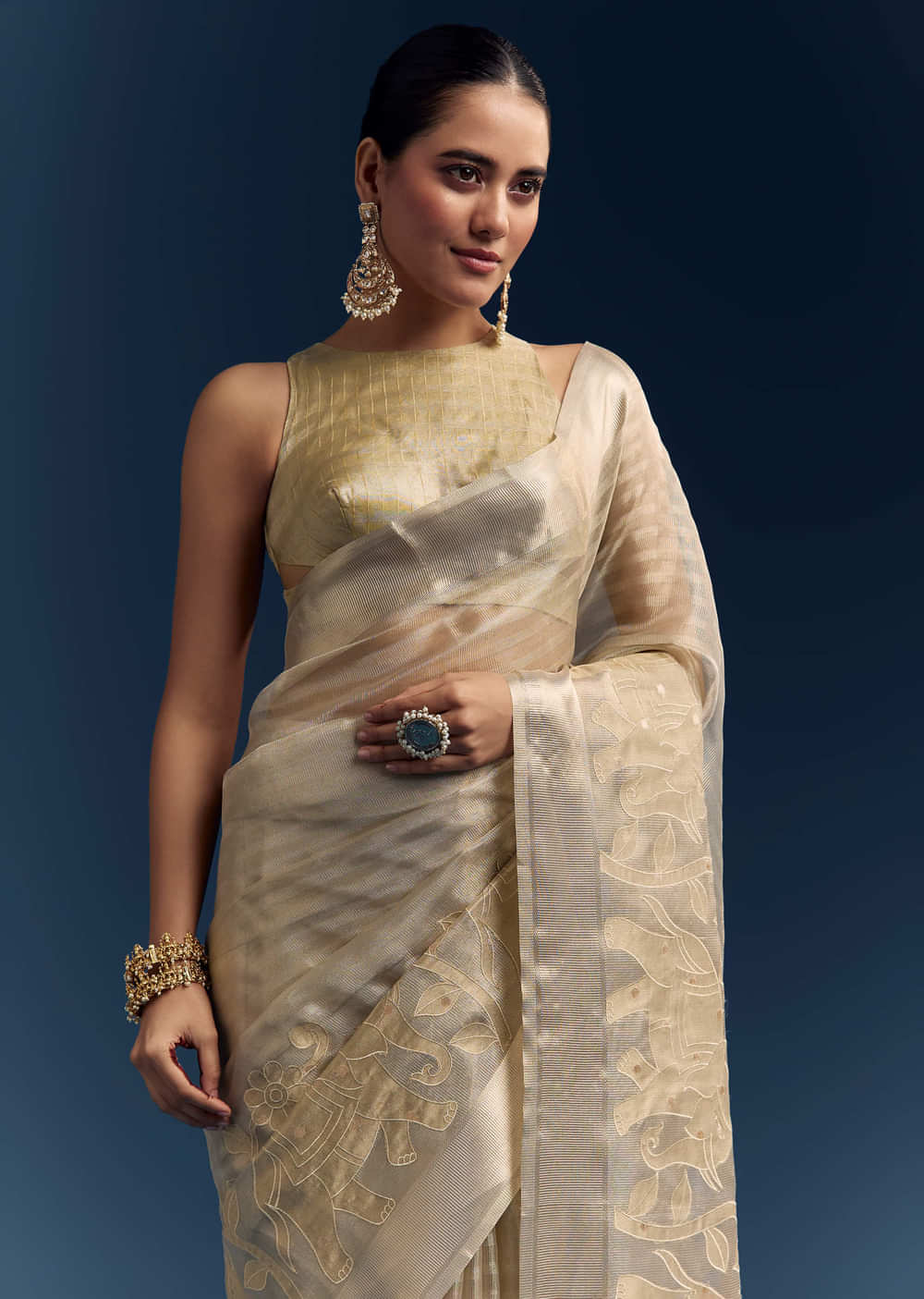 Gold Tissue Organza Saree With Zari And Resham Embroidery