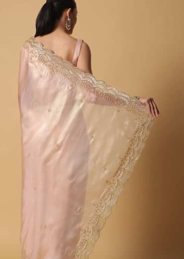 Peach Tissue Saree With Cut Dana Embroidered Borders
