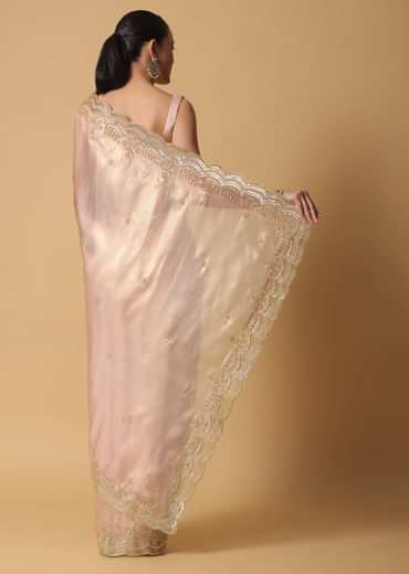 Peach Tissue Saree With Cut Dana Embroidered Borders