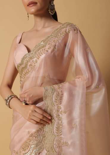 Peach Tissue Saree With Cut Dana Embroidered Borders
