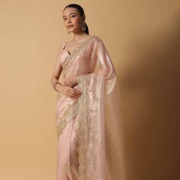 Peach Tissue Saree With Cut Dana Embroidered Borders