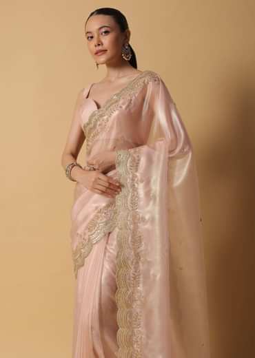 Peach Tissue Saree With Cut Dana Embroidered Borders