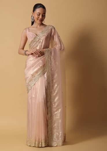 Peach Tissue Saree With Cut Dana Embroidered Borders