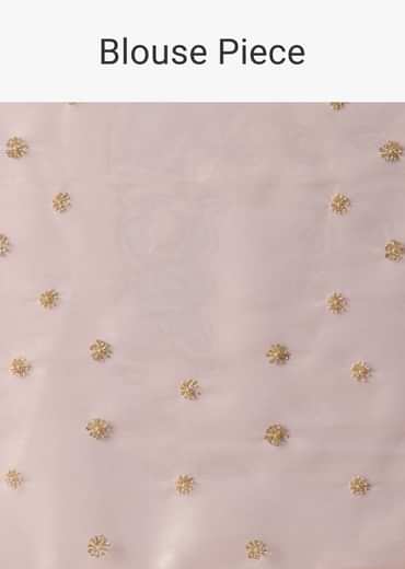 Peach Tissue Saree With Cut Dana Embroidered Borders