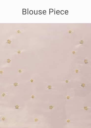 Peach Tissue Saree With Cut Dana Embroidered Borders