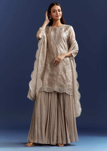 Grey Cutdana And Sequins Kurta With Stone Work Dupatta In Tissue