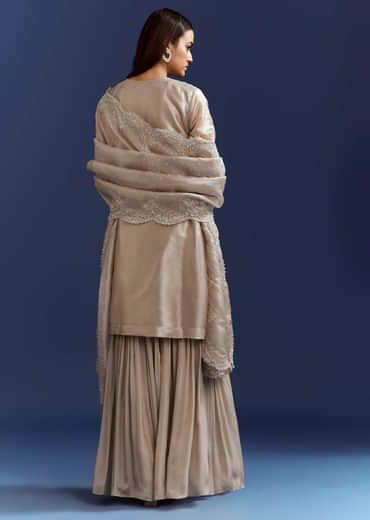 Grey Cutdana And Sequins Kurta With Stone Work Dupatta In Tissue