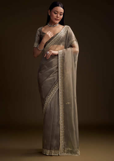 Grey Tissue Saree With Floral And Zardosi Embroidery