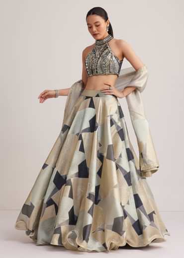 Grey And Gold Net Embroidered Lehenga Set