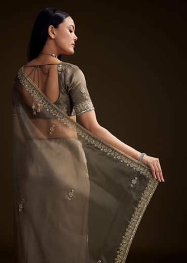Grey Tissue Saree With Floral And Zardosi Embroidery