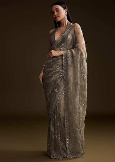 Grey Tissue Saree With Floral Jaal And Sequin Embroidery