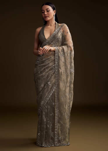 Grey Tissue Saree With Floral Jaal And Sequin Embroidery