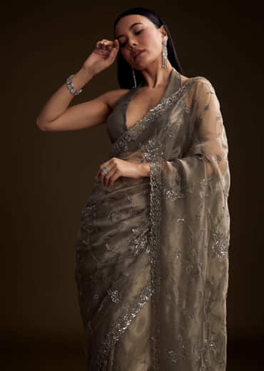 Grey Tissue Saree With Floral Jaal And Sequin Embroidery