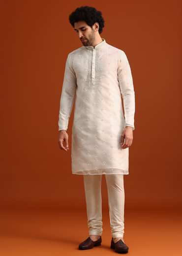 Ivory Organza Zari Embroidered Kurta Set With Butti Work