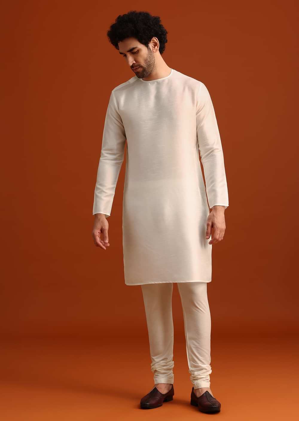 Ivory Organza Zari Embroidered Kurta Set With Butti Work