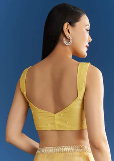 Lemon Yellow Organza Tissue Saree With Beaded Border