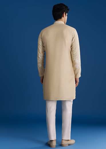 Light Beige Silk Embroidered Kurta Set