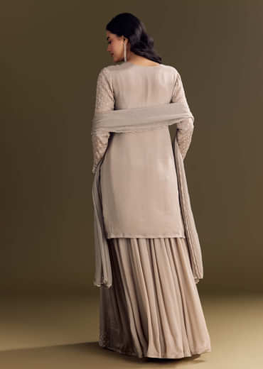 Light Brown Kurta Set With Sequins Palazzo And Dupatta