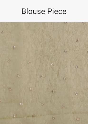 Light Green Glossy Crushed Tissue Saree With Cutdana Sequins Embroidery And Scallop Border