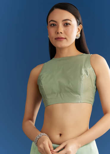 Light Green Organza Tissue Saree With Beaded Scallop Edge