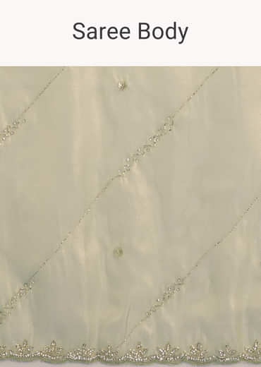 Light Green Organza Tissue Saree With Embroidered Scallop Border