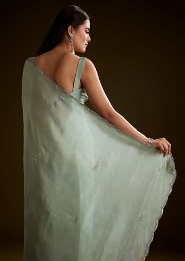Light Green Tissue Saree With Cutdana Embroidery And Scallop Border