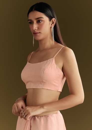 Light Peach Tissue Silk Saree With Stone Embellishments