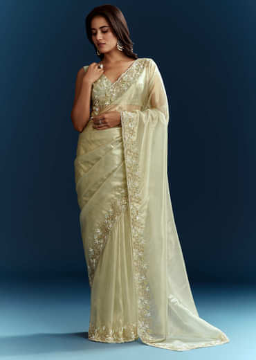 Light Pista Organza Saree With Floral Cutdana And Stone Embroidery