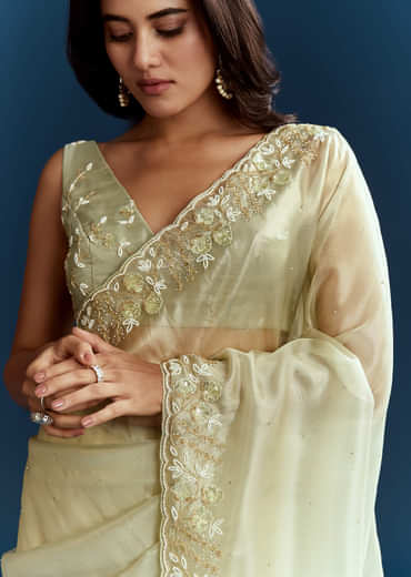 Light Pista Organza Saree With Floral Cutdana And Stone Embroidery
