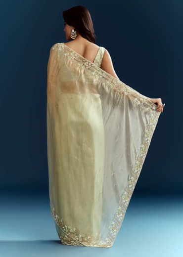 Light Pista Organza Saree With Floral Cutdana And Stone Embroidery