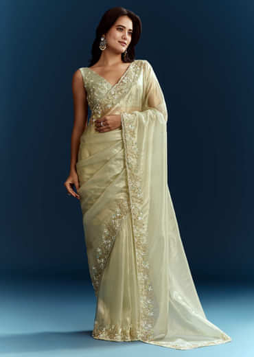Light Pista Organza Saree With Floral Cutdana And Stone Embroidery
