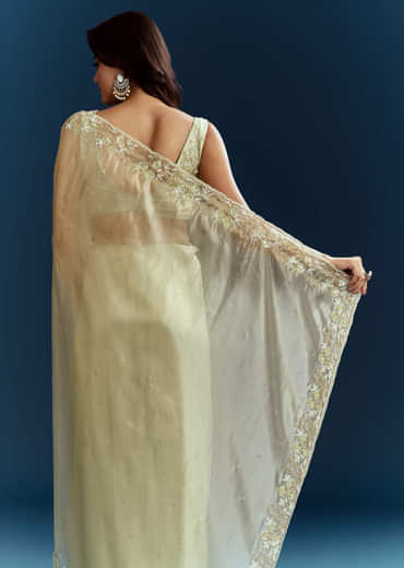 Light Pista Organza Saree With Floral Cutdana And Stone Embroidery