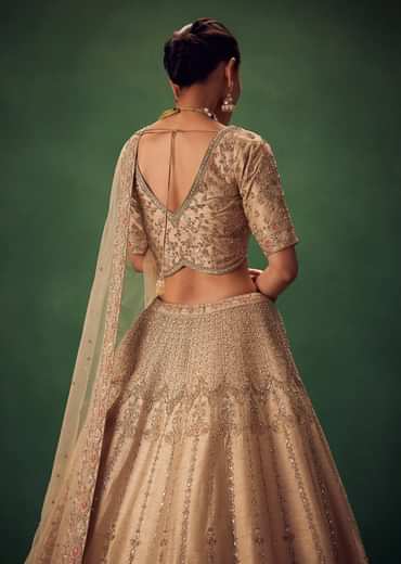 Light Gold Hand Embroidered Lehenga Set