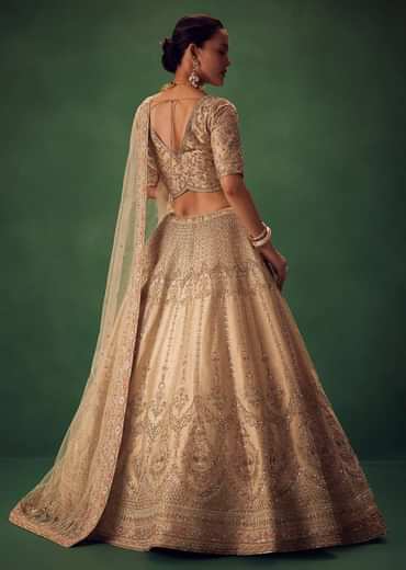Light Gold Hand Embroidered Lehenga Set