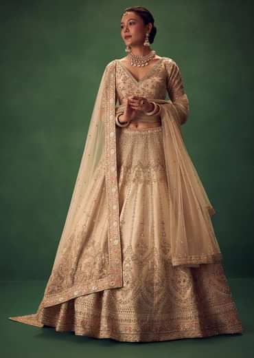 Light Gold Hand Embroidered Lehenga Set