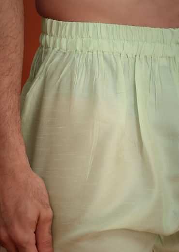 Light Green Organza Aligarhi Kurta With Zari Embroidery