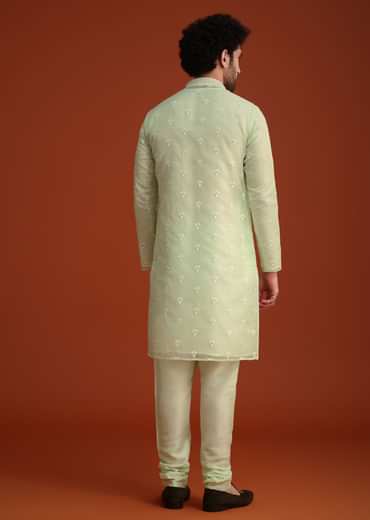 Light Green Organza Aligarhi Kurta With Zari Embroidery