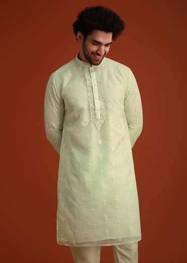 Light Green Organza Aligarhi Kurta With Zari Embroidery