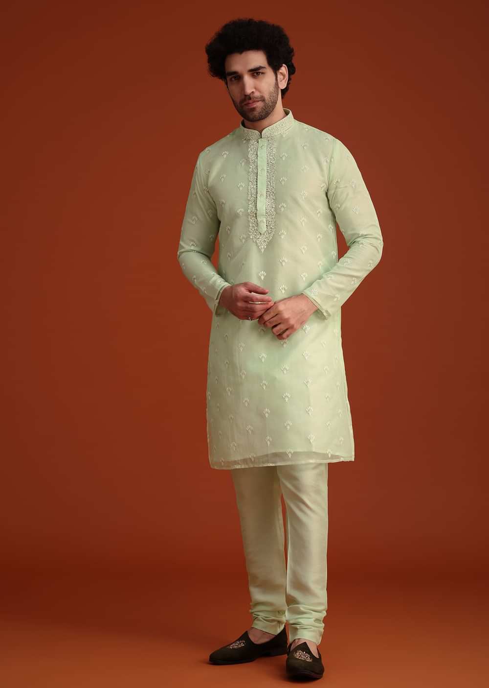Light Green Organza Aligarhi Kurta With Zari Embroidery